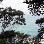 land for sale, Kamala Phuket
